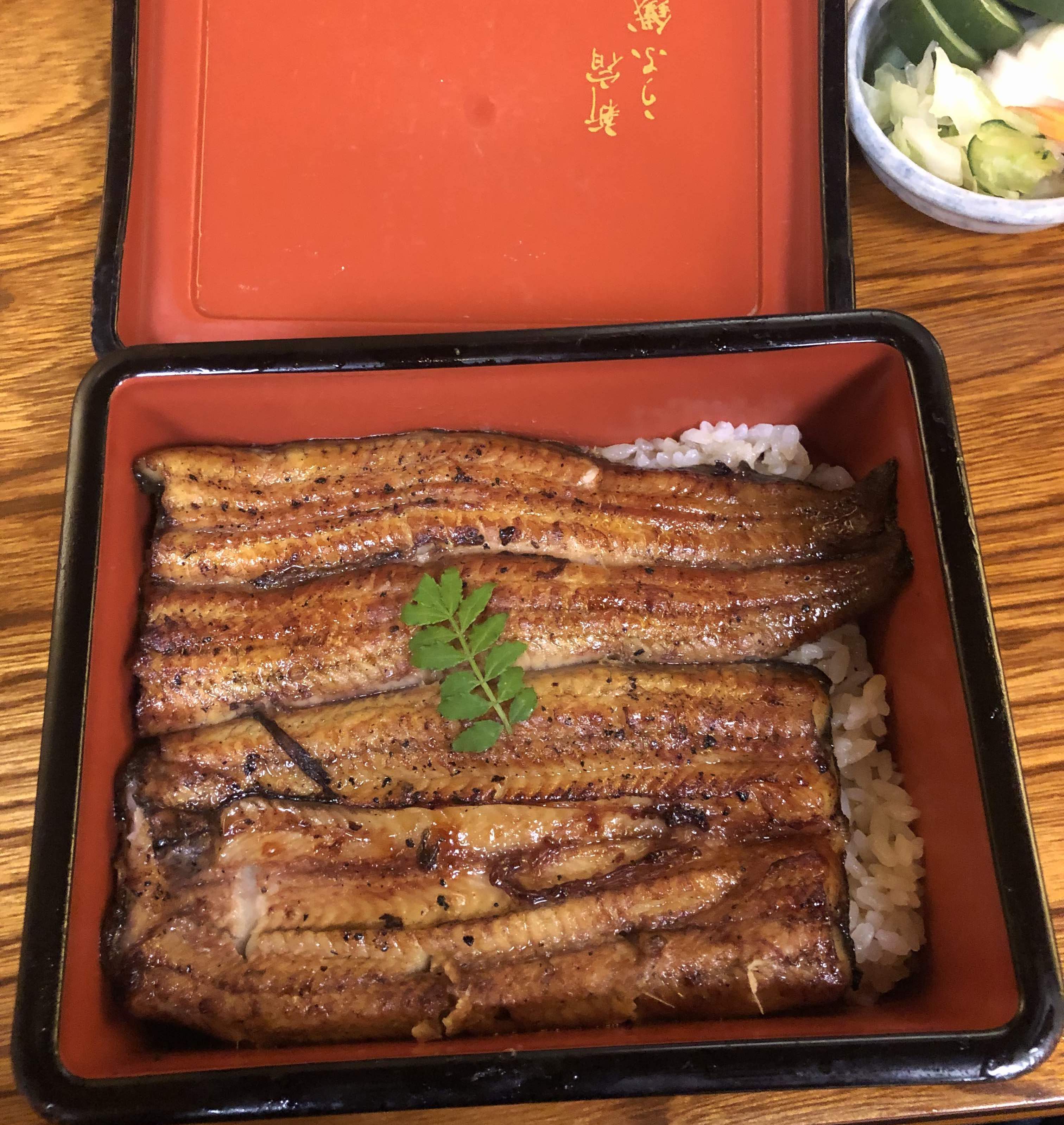 Unagi