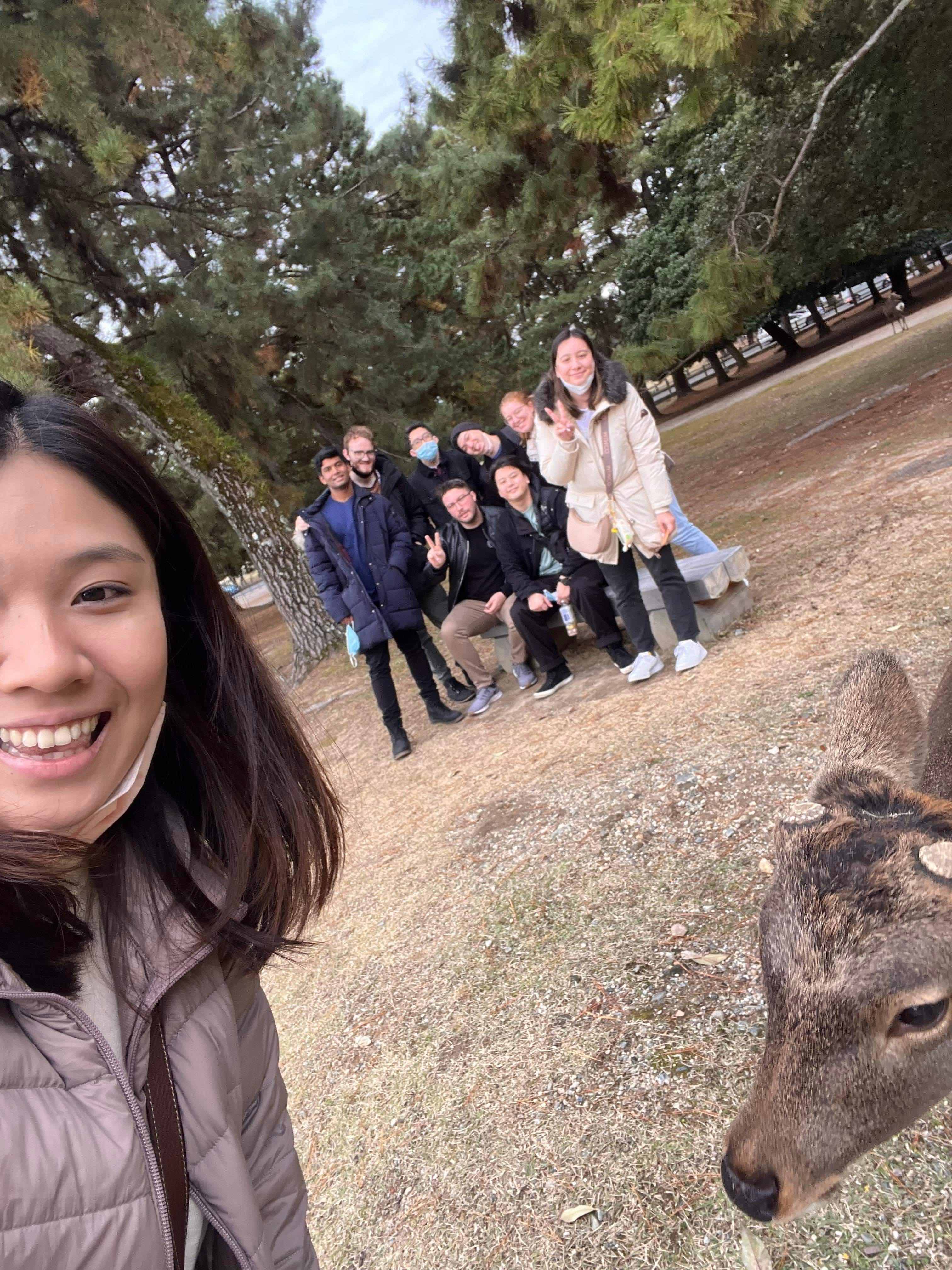 Nara Park